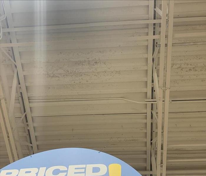 mold growth on ceiling of grocery store