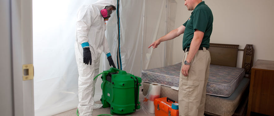 Yulee, FL mold removal process